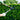 Lawn & Garden ProCare Service