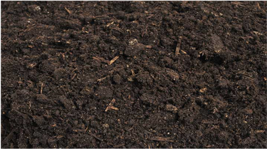 Cowart Premium Top Soil