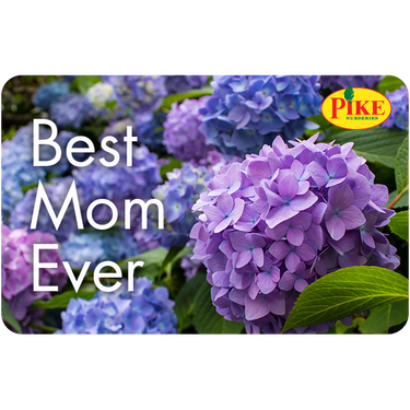 Digital Best Mom Ever eGift Card