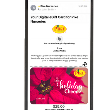 Digital A Little Holiday Cheer eGift Card