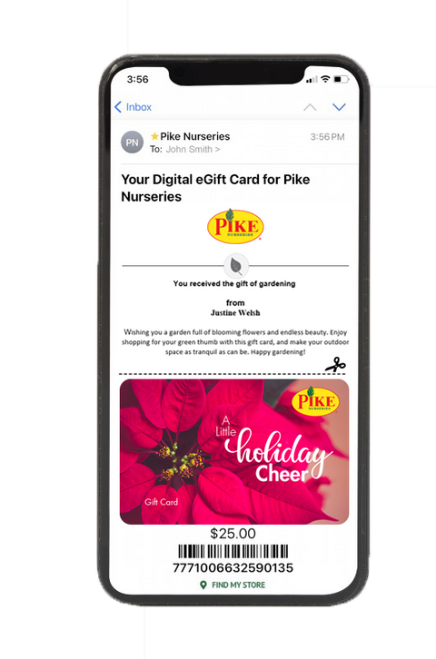 Digital A Little Holiday Cheer eGift Card