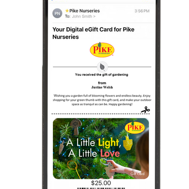 Digital A Little Light, A Little Love eGift Card