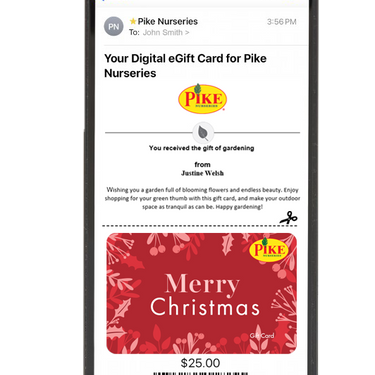 Digital Merry Christmas eGift Card