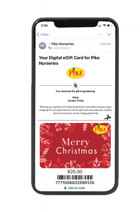 Digital Merry Christmas eGift Card