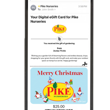 Digital Gnome Christmas Magic eGift Card