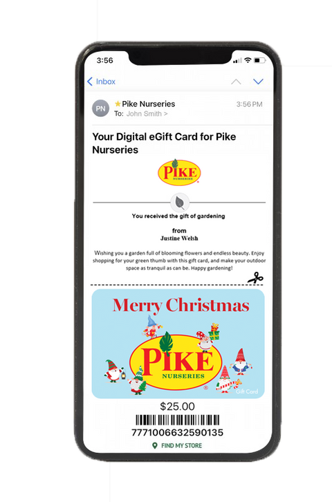 Digital Gnome Christmas Magic eGift Card