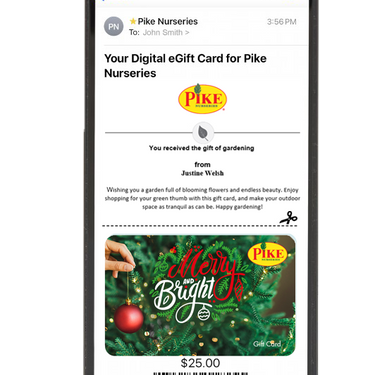 Digital Merry & Bright eGift Card