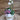 Orchid Garden Arrangement