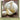 Allium (Garlic) Elephant Garlic