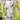Our Lady Of Mount Carmel 19 inch