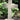 Woodgrained Cross 24 inch