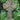Celtic Cross 24 inch