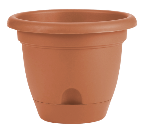 Bloem Lucca Planter Terra Cotta Plastic - 12 inch