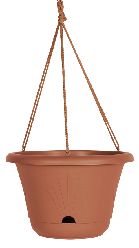 plastic hanging plant baskets Bloem Lucca Hanging Basket Terra Cotta Plastic – Pike Nursery