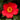 Spring's Promise Ice Angels® Camellia - Monrovia