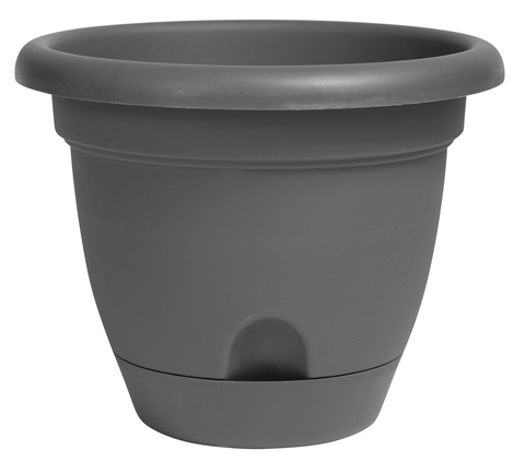 Bloem Lucca Planter Charcoal Plastic - 12 inch