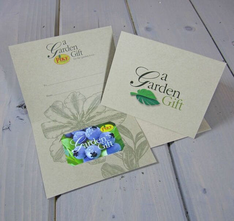 Hydrangea Gift Card by Mail