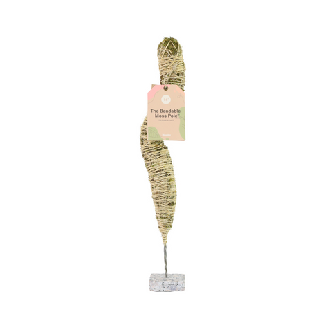 buy a moss pole Mossify 30 In. Bendable Moss Pole