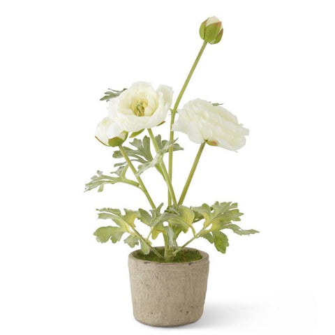 Faux 14.75" White Ranunculus In Clay Pot