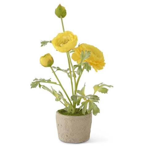 Faux 14.75" Yellow Ranunculus In Clay Pot