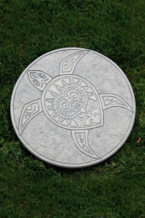 Stepping Stone Turtle