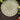 Stepping Stone Sunflower