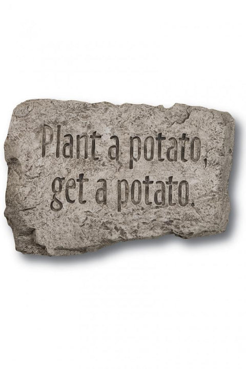 Stone Plant A Potato 10 inch