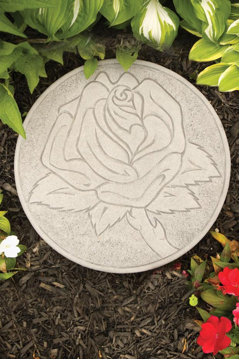 Stepping Stone Rose