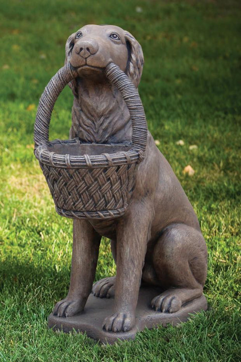 Retriever Rt with Basket 32 inch