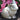 Sitting Bunny