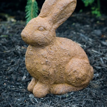 Bunny Rabbit