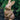 Small Sitting Up Rabbit