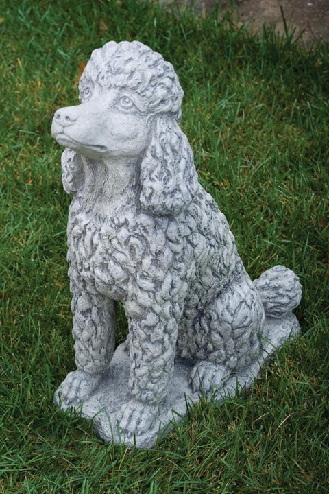 Poodle 18 inch