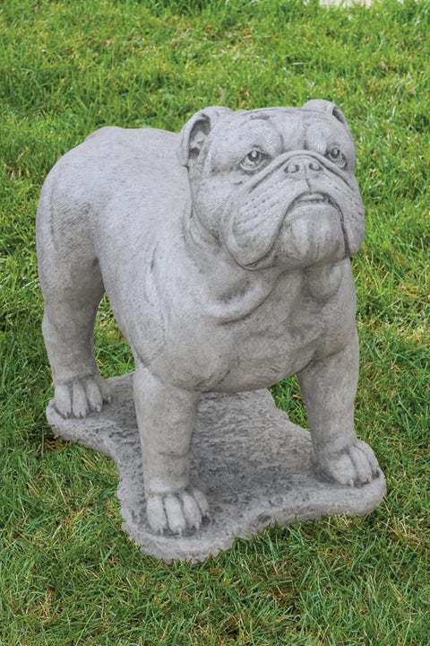 English Bulldog 21 inch