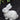 Baby Rabbit