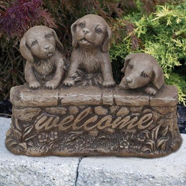 Three Welcome Puppies