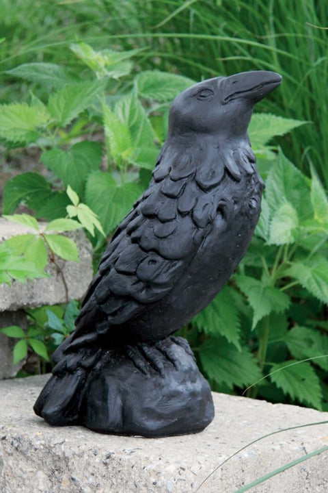 Medium Crow