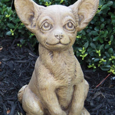 Puppy Chihuahua 12 inch