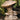 Mushroom Cluster Medium 15 inch