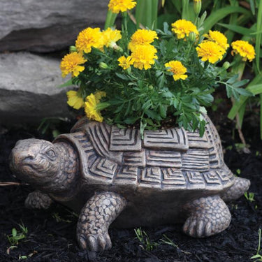 Patio Turtle Planter