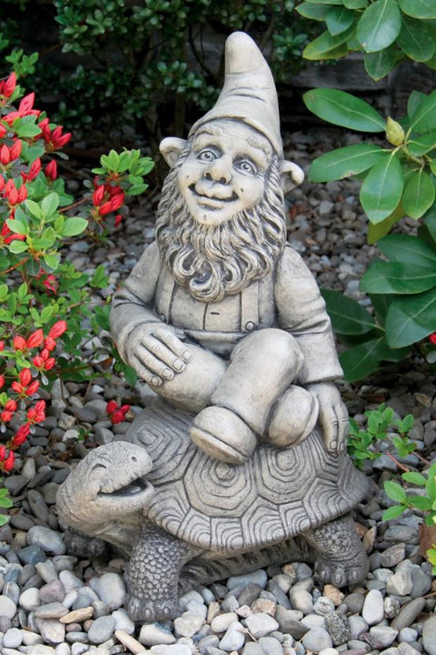 Gnome And Tortoise 19 inch