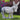 Donkey And Packs