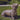 Dachshund 16 inch
