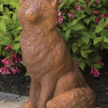 Fox Medium