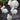 Rabbit Set
