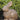 Sitting Rabbit 12 inch