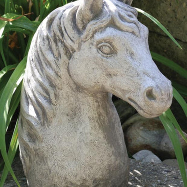 Horse Bust 12 inch