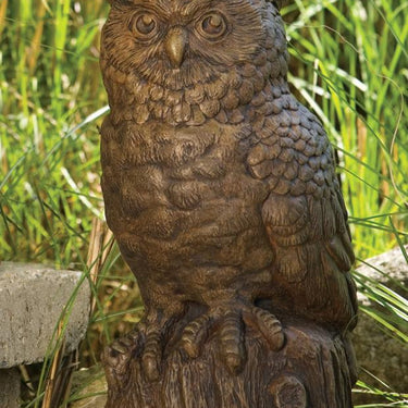 Owl Medium