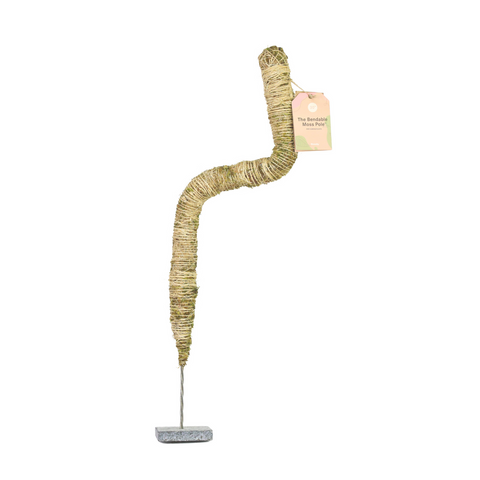 flexible moss pole Mossify 30 In. Bendable Moss Pole