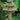 Three Tier Classical Fountain